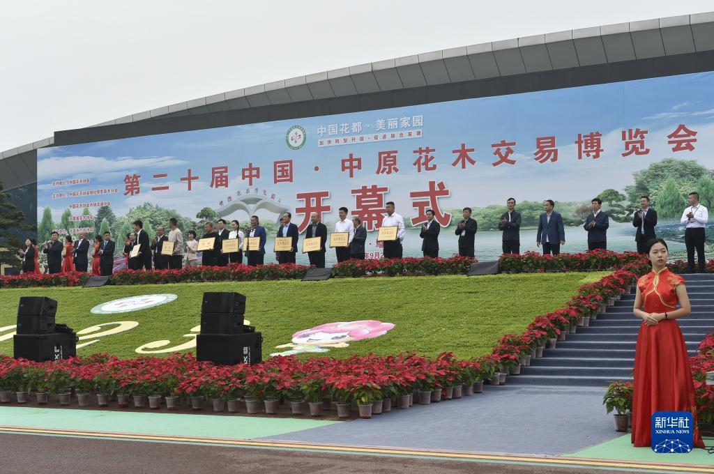 太阳集团娱乐网址7777网页版